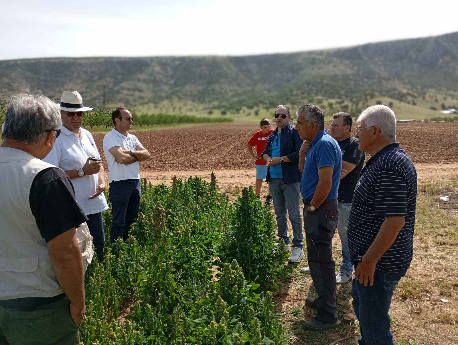 Η κινόα στο Ζάρκο Τρικάλων έφερε χαμόγελα