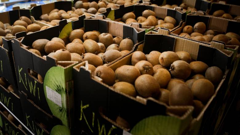 Άνοιγμα της αγοράς του Βιετνάμ για το ελληνικό ακτινίδιο. Κ. Τσιάρας: Στόχος μας η συνεχής διεύρυνση των αγορών για τα ελληνικά προϊόντα