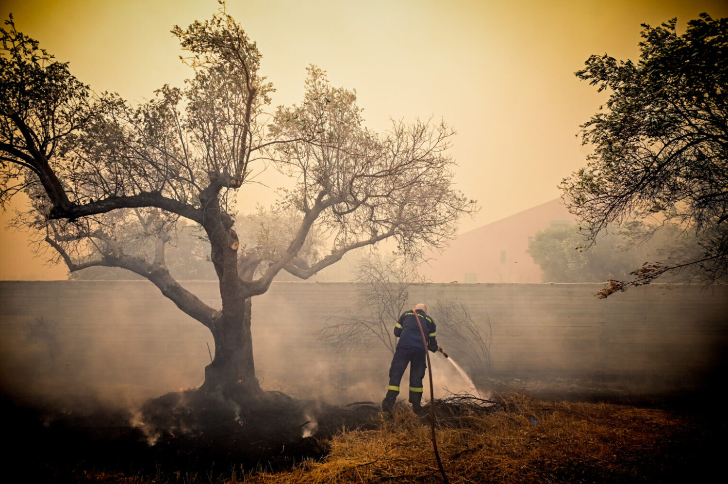 ΥπΑΑΤ: Δεν απαιτείται η καταβολή των τελών εκτίμησης από τους πληγέντες παραγωγούς