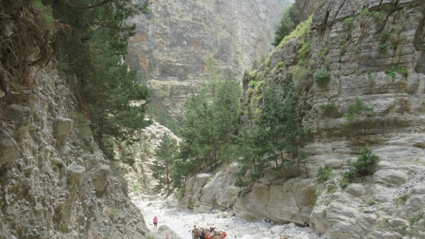 Σαμαριά: Διασώθηκε ο πολυτραυματίας – Είναι ο μελισσοκόμος που βρήκε τη σορό Γερμανού τουρίστα τον Μάρτιο