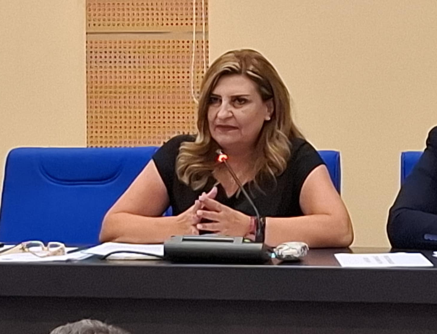 Ευ. Λιακούλη: «Πολύ αργά για …δάκρυα κ. Τσιάρα… Η κτηνοτροφία αφανίστηκε»