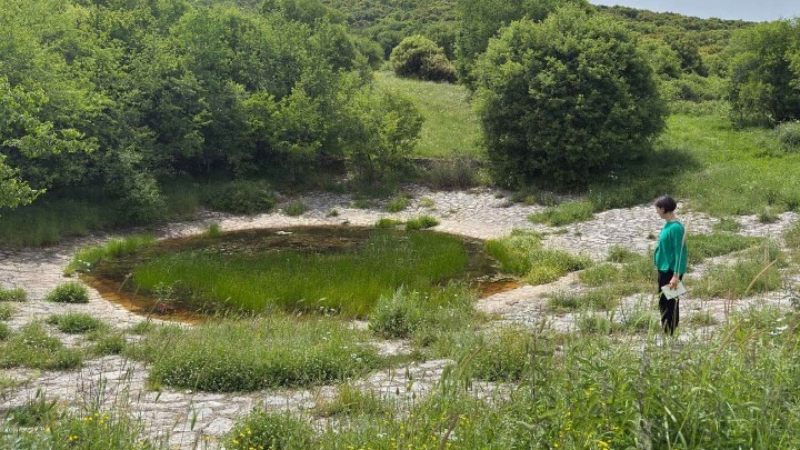 Πολύτιμες οι λούτσες που κρατούν νερό για τη μετακινούμενη κτηνοτροφία – Πρόγραμμα για την ανάδειξή τους