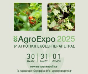 Ενεργοποιήθηκε η ηλεκτρονική υπηρεσία έκδοσης βεβαίωσης «Επαγγελματία Αγρότη» και «Κατόχου Αγροτικής Εκμετάλλευσης» έτους 2023