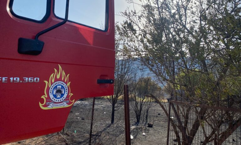 Δήμαρχος Νεμέας: Χωρίς ενεργό μέτωπο η πυρκαγιά – Δημιουργούνται αντιπυρικές ζώνες – Eπιφυλακή για αναζωπυρώσεις