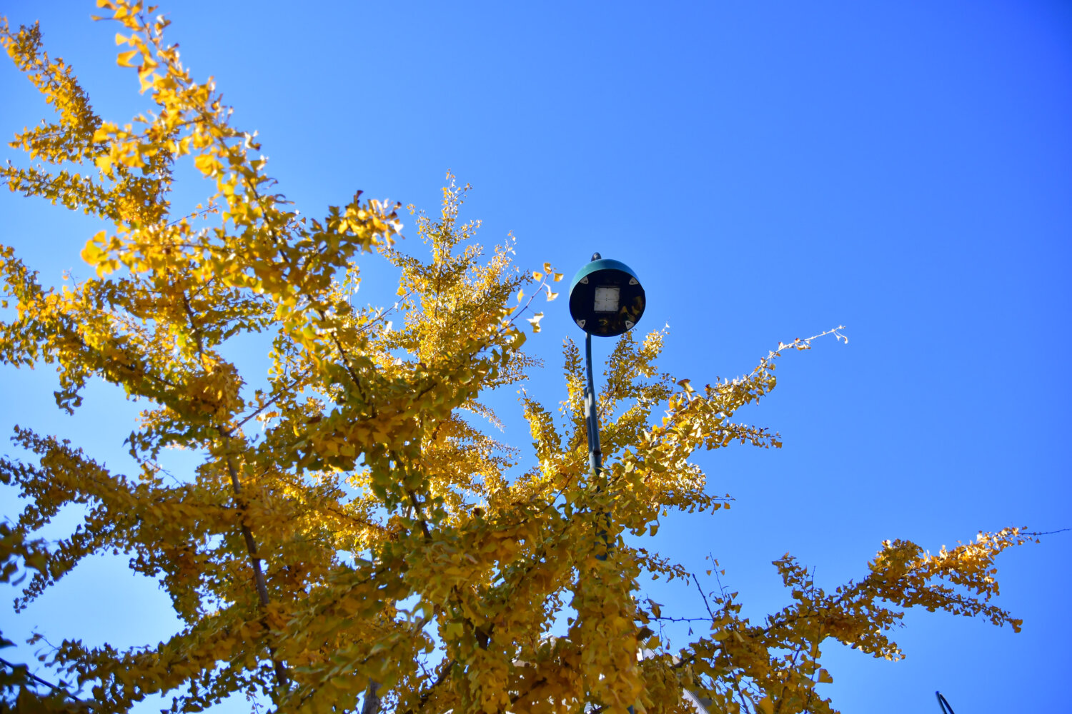 Καιρός: Δύο κύματα ζέστης και αφρικανικής σκόνης τις επόμενες ημέρες – Ερχονται τα πρώτα 30αρια