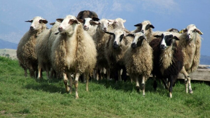 Κώστας Τσιάρας: Θέλουμε να αποφύγουμε το lockdown