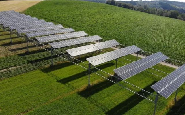 Αγροβολταϊκά: Νέα ευκαιρία ή δύσκολο στοίχημα για τους παραγωγούς;