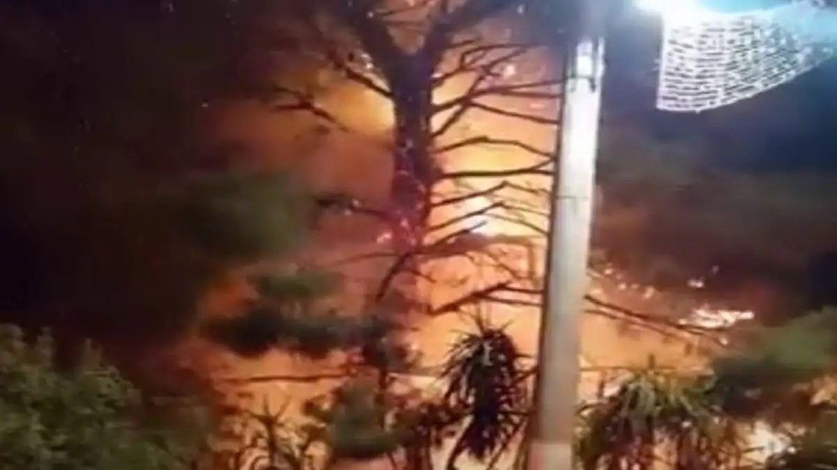 Κορωπί: «Λαμπάδιασε» πεύκο από βεγγαλικά μετά την Ανάσταση