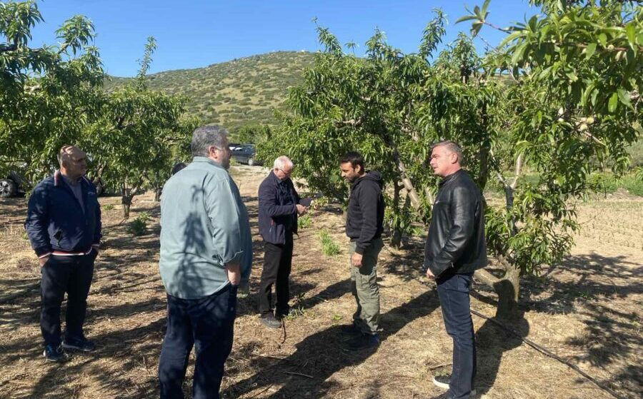 Πρωτοβουλίες της Περιφέρειας για την εκτεταμένη καρπόπτωση και ξήρανση δενδρωδών καλλιεργειών