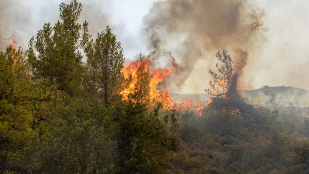 Φωτιά σε χαμηλή βλάστηση στον Ασπρόπυργο – Μεγάλη κινητοποίηση της Πυροσβεστικής