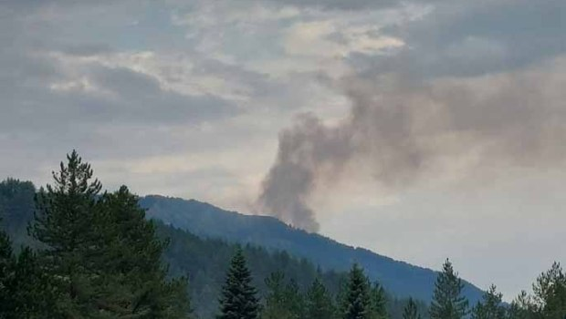 Φωτιά σε δασική έκταση στη Βοβούσα Ιωαννίνων