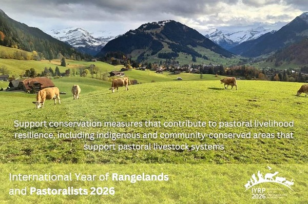 2026-Διεθνές Έτος Βοσκοτόπων και βοσκών