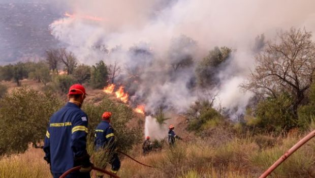 Πυρκαγιά σε δασική έκταση στην Ερέτρια