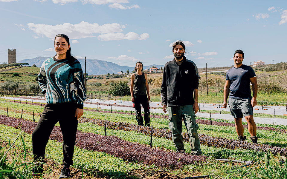 Κλειστό ακόμη το σύστημα για εγκρίσεις Νέων Αγροτών, προς αρχές 2026 η πληρωμή