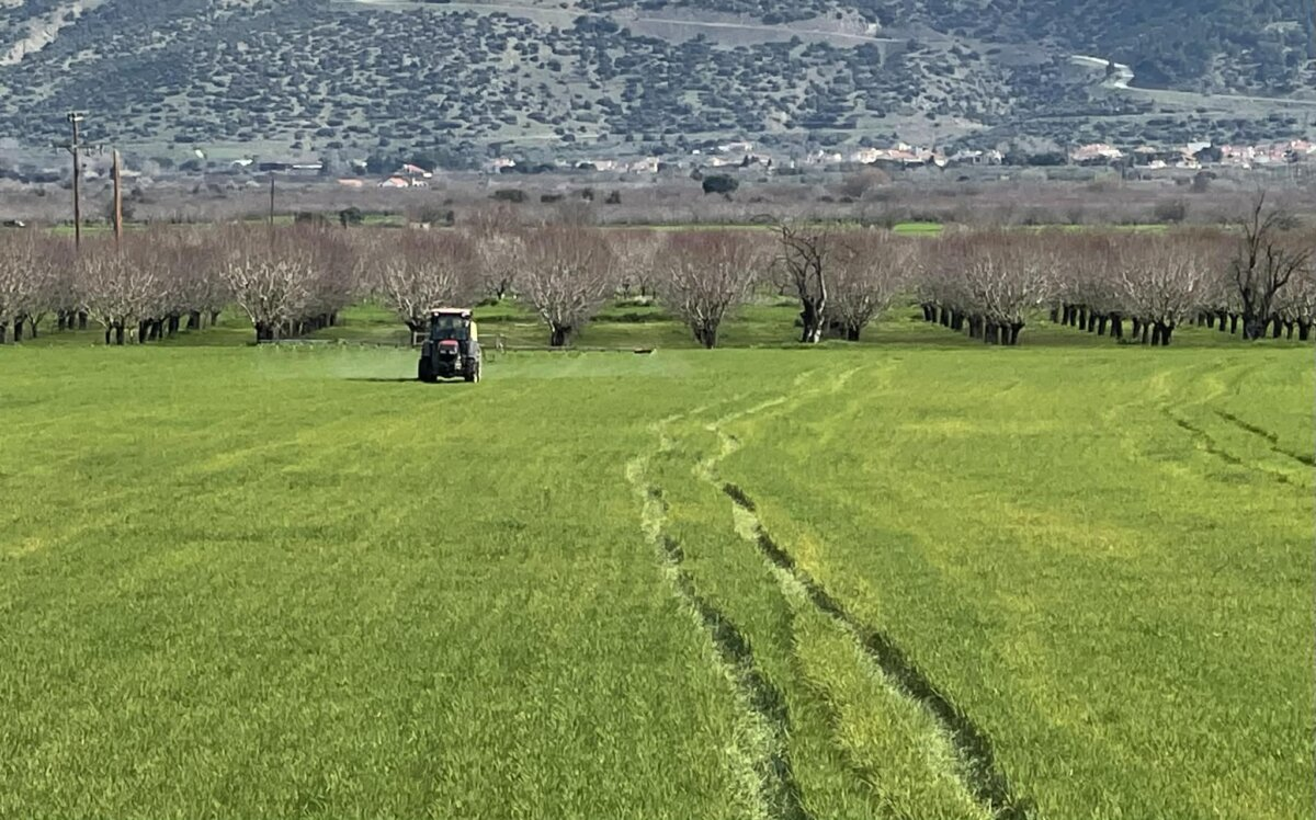 Η διαθήκη και η διανομή ως πυλώνες συνέχειας της αγροτικής περιουσίας