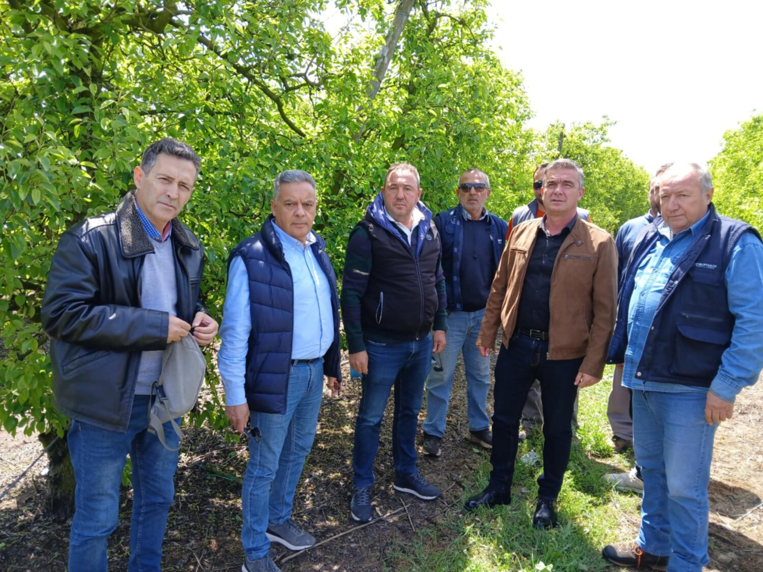 Στο επίκεντρο η καρπόπτωση στα αχλάδια – Ο αντιπεριφερειάρχης Δημ. Τσέτσιλας στην σύσκεψη των συνεταιρισμών Τυρνάβου (φωτ.)