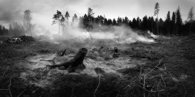 ΥΠΕΝ: Καταστροφικές επιπτώσεις για το 50% της καμένης έκτασης στο δάσος Δαδιάς