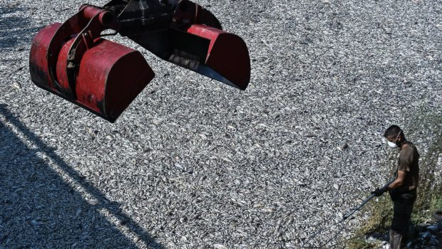 Θεσσαλία: Εικόνες και βίντεο από τον χώρο που θάβονται τα νεκρά ψάρια στο Βελεστίνο – Ερωτήματα για την ταφή
