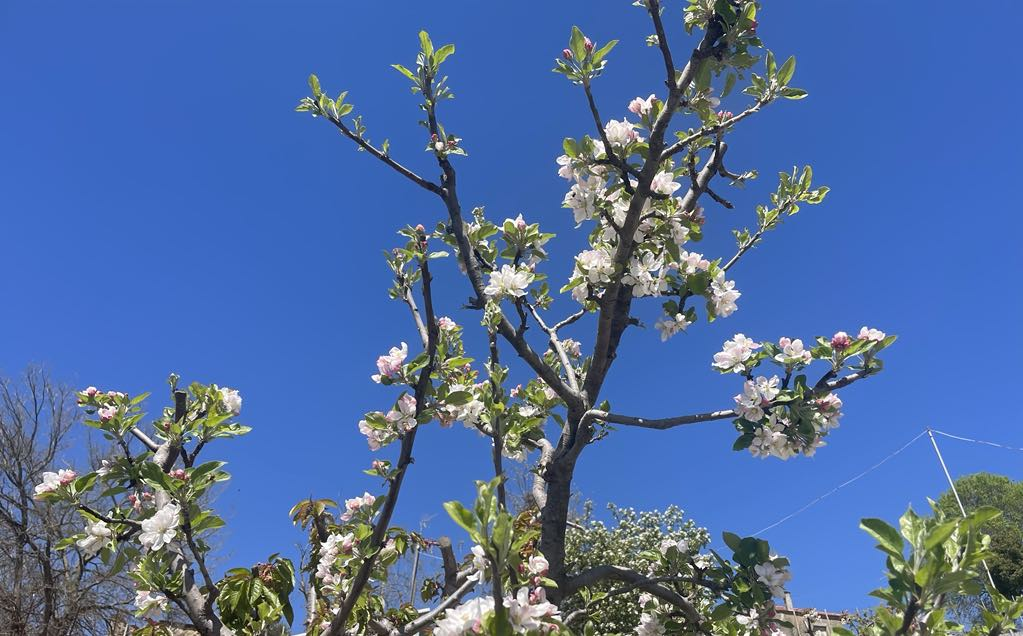 Καιρός αύριο: Βροχές, μεταφορά αφρικανικής σκόνης και αύξηση της θερμοκρασίας στους 25 βαθμούς