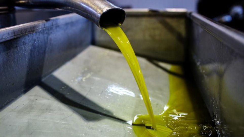 Ημερίδες ενημέρωσης των ελαιοτριβέων & ελαιοπαραγωγών