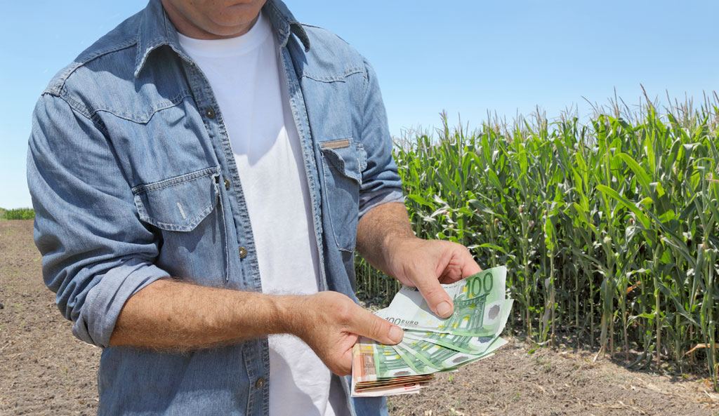 Aγρότες: Πως θα πληρωθούν φέτος και το 2026 – Το νέο σύστημα επιδοτήσεων