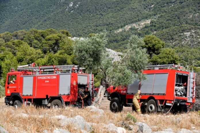 Πιερία: Οριοθετήθηκε η φωτιά που ξέσπασε στην αρχαία Πύδνα