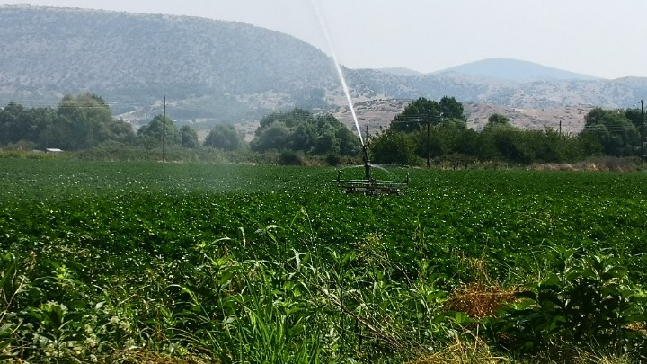 Νέα μελέτη επισημαίνει τις επιπτώσεις της κλιματικής αλλαγής στην παραγωγικότητα των εργαζομένων