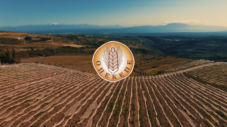 ΟΠΕΚΕΠΕ: Τη Μ. Τετάρτη το πρώτο «πακέτο» των Συνδεδεμένων Ενισχύσεων ΕΑΕ 2024