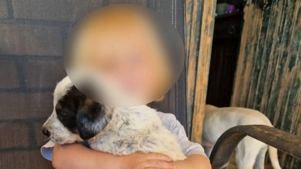 «Της είπαμε να μη πάρει ποτέ αυτό το σκυλί», λέει ο θείος του αδικοχαμένου Λίο