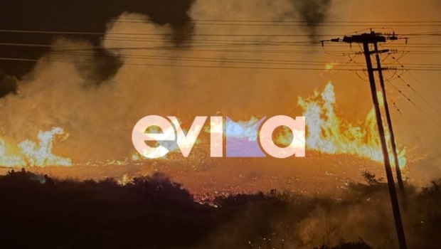 Φωτιά στην Εύβοια: Στις φλόγες δασική έκταση στα Μεσοχώρια – Σηκώθηκαν εναέρια