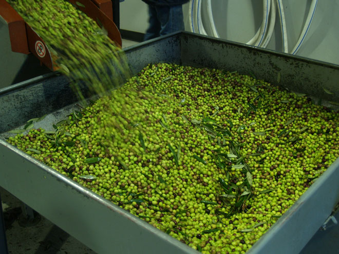 Παρέμβαση της ΠΕΑΣΟΕΠΕ για την εύρυθμη λειτουργία των Προγραμμάτων ΟΕΦ