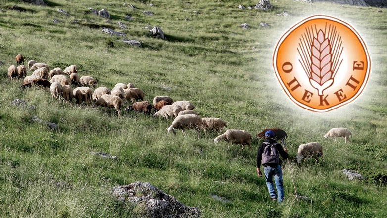 ΟΠΕΚΕΠΕ: Έρχεται παραπομπή στην Ευρωπαϊκή Εισαγγελία και δέσμευση περιουσιακών στοιχείων και γι’ άλλους Κρητικούς