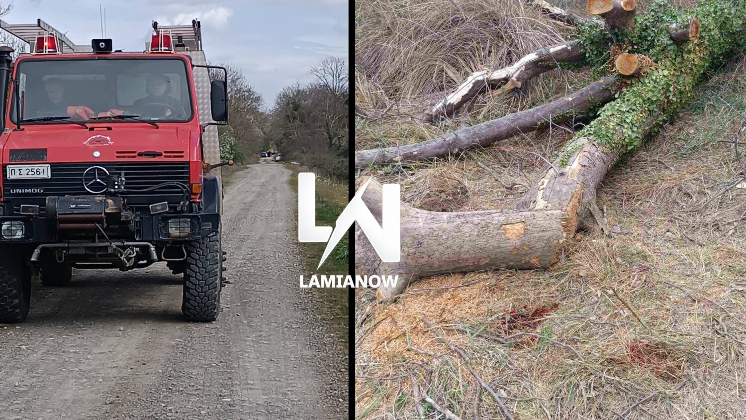 Λαμία: 68χρονος Καταπλακώθηκε από δέντρο και έχασε την ζωή του ενώ έκοβε ξύλα