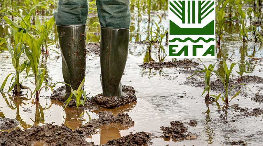 Αποζημιώσεις 38 εκατ. ευρώ από τον ΕΛΓΑ για ζημιές φυτικής παραγωγής και ζωικού κεφαλαίου του 2023